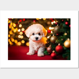 Cute Bichon Frise Puppy Dog Christmas Posters and Art